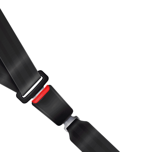 seatbelt